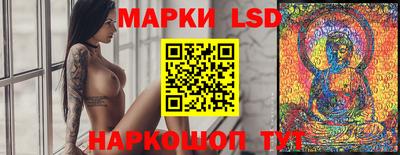 молекула духа Будённовск
