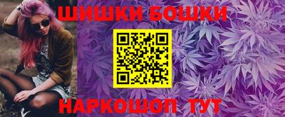 молекула духа Будённовск