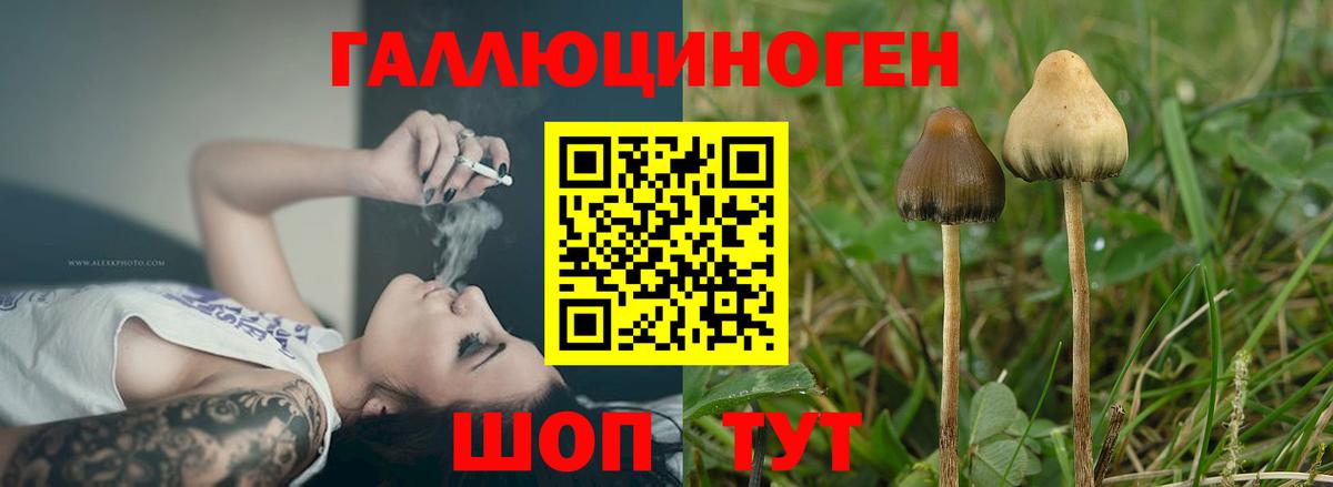 Киров  Галлюциногенные грибы ЛСД  Вход с VPN 